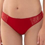 Mey Truser Amorous Thong Rød polyamid 42 Dame