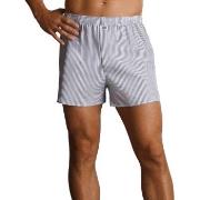 Jockey Woven Poplin Boxer Shorts Hvit m Rand bomull Medium Herre