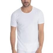 Calida Pure and Style T-shirt Hvit bomull X-Large Herre