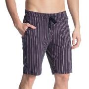Calida Remix Basic Shorts Stripet bomull XX-Large Herre