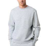 Björn Borg Centre Crew Lysgrå Small Herre