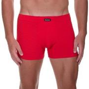 Bruno Banani Check Line 2.0 Shorts Rød polyamid XX-Large Herre