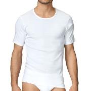 Calida Cotton 1 T-Shirt 14310 Hvit 001 bomull Large Herre