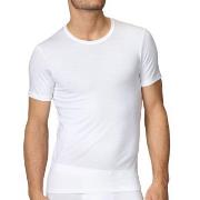 Calida Evolution T-Shirt 14661 Hvit 001 bomull Medium Herre