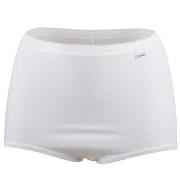 Damella Truser Classic Cotton Maxi Brief Hvit bomull Small Dame