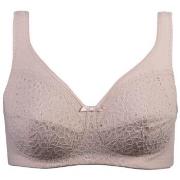 Damella BH Classic Soft Lace Bra Pudder A 85 Dame