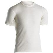 Dovre Wool T-shirt Hvit merinoull Small Herre