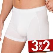 Schiesser 95-5 Organic Cotton Shorts Hvit økologisk bomull XX-Large He...