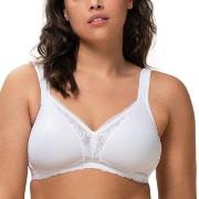 Triumph BH Modern Lace Cotton Soft Bra Hvit B 85 Dame