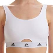 adidas BH Scoop Bralette Hvit bomull Large Dame