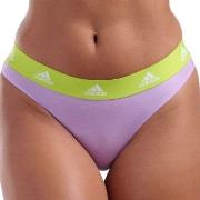 adidas Truser 3P Sport Cotton Logo Thong Lilla/Svart bomull X-Large Da...