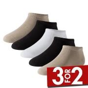 Schiesser Strømper 5P Men Sneaker Socks Multi-colour-2 Str 43/46 Herre