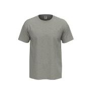 Stedman Comfort Men T-shirt Lysgrå bomull Small Herre