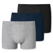 Schiesser 3P 95-5 Essential Shorts Mixed bomull Large Herre