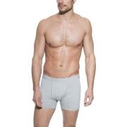 Bread and Boxers Boxer Brief 5P Grå økologisk bomull Medium Herre