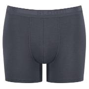 Sloggi 3P Men EverNew Short Grå bomull XX-Large Herre