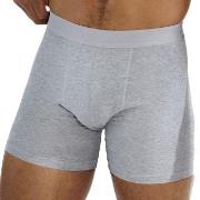 Bread and Boxers Brief Boxer Long Leg 3P Grå økologisk bomull Small He...