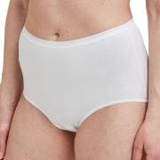 Decoy Truser 5P Maxi Briefs Hvit økologisk bomull Large Dame