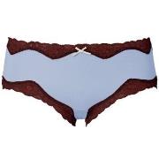 Triumph Truser Brief Micro and Lace Hipster 15 Lysblå polyamid Small D...