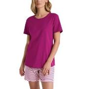 Calida Marine Dreams Short Pyjamas Rosa Mønster bomull Large Dame