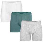 Pierre Robert 3P For Men Boxers Blå/Grå økologisk bomull X-Large Herre