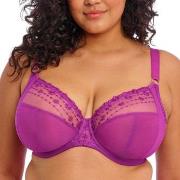 Elomi BH Matilda Underwired Plunge Bra Fuchsia/Lilla M 75 Dame