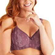 Swegmark BH Adorable Padded Soft Wired Bra Plomme C 75 Dame