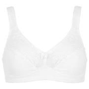Damella BH Felice Soft Bra Hvit bomull D 75 Dame