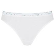 Sloggi Truser 3P 24 7 100 Tai Briefs Hvit bomull 38 Dame