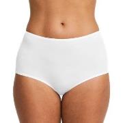 Swegmark Truser Essence Maxi Briefs Modal Hvit modal Medium Dame