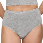 Triumph Truser Beauty Layers Wool Maxi Brief Grå ull Medium Dame
