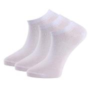 Trofe Cotton Sneaker Socks Strømper 6P Hvit Str 39/42 Dame