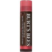 Burt's Bees Tinted Lip Balm Rose - 4,2 g
