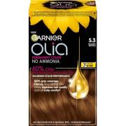 Garnier Olia 5.3 Golden Brown 1 pcs