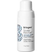 Briogeo Scalp Revival Charcoal + Biotin Dry Shampoo - 50 ml