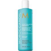 Moroccanoil Scalp Balancing Shampoo 250 ml