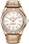 Breitling Dameklokke R17356531G1P1 Super Chronomat Automatic 38