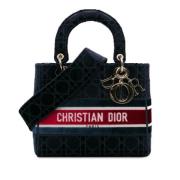 Pre-owned Canvas dior-bags