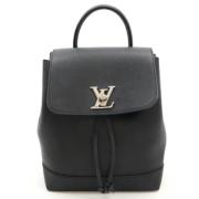 Pre-owned Leather louis-vuitton-bags