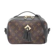 Pre-owned Leather louis-vuitton-bags