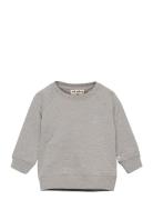 Alexi Sweatshirt Grey Soft Gallery