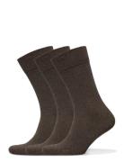 True Ankle Sock 3-Pack Brown Amanda Christensen