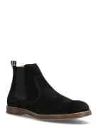 Risty Suede Black Sneaky Steve