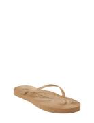 Slim Flip Flop Beige SLEEPERS