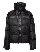 Dinamw Short Down Jacket Black My Essential Wardrobe