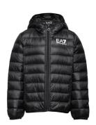 Down Jackets Black EA7