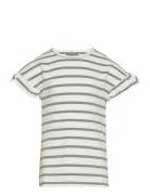 T-Shirt Ss Stripe Green Creamie
