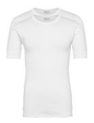 Jbs T-Shirt 2-Pack Organic White JBS