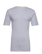 Jbs T-Shirt Original Grey JBS