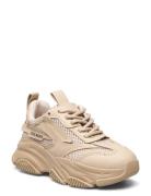 Jpossession Sneaker Beige Steve Madden